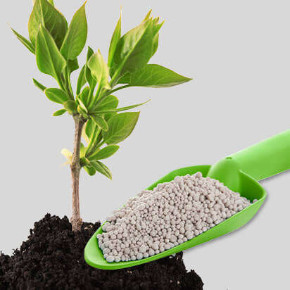 baumduenger bubblenavibild